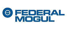 FEDERAL-MOGUL